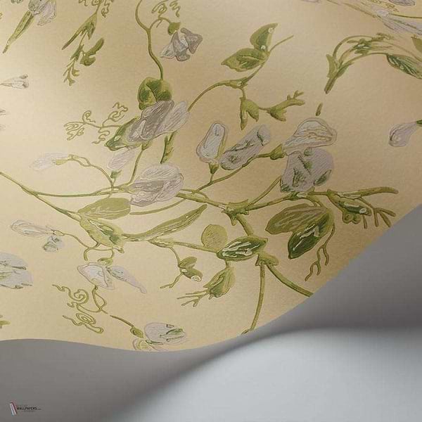 Sweet Pea behang van Cole & Son
