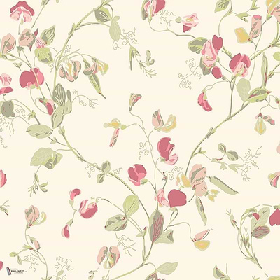 Sweet Pea behang in Coral & Olive van Cole & Son