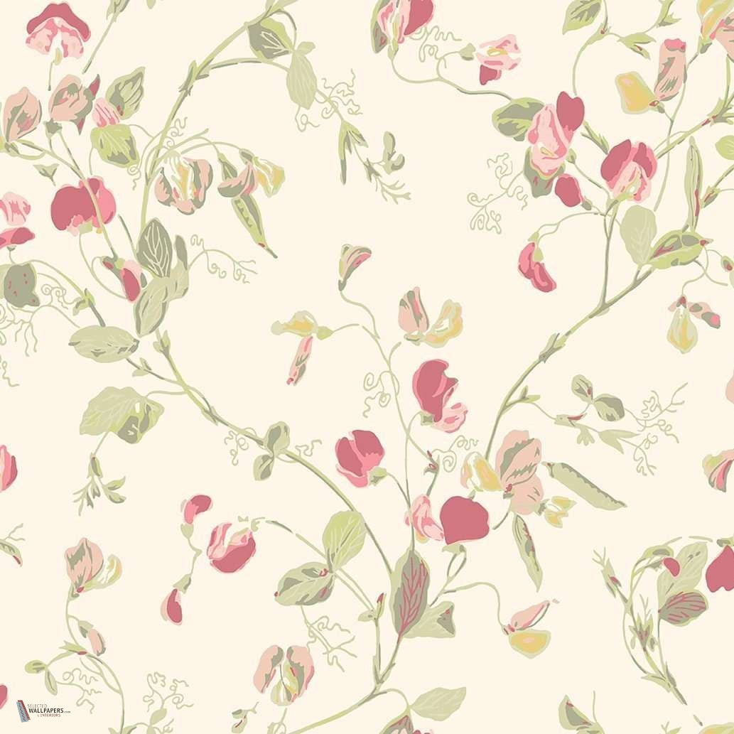 Sweet Pea behang in Coral & Olive van Cole & Son