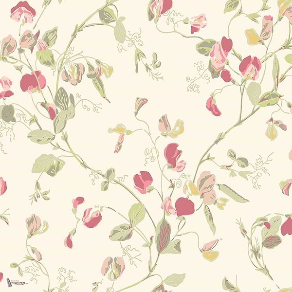 Sweet Pea behang in Coral & Olive van Cole & Son