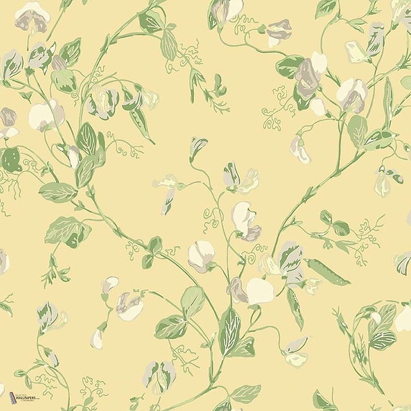 Sweet Pea behang in Grey & Lime van Cole & Son