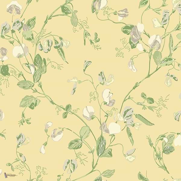 Sweet Pea behang in Grey & Lime van Cole & Son