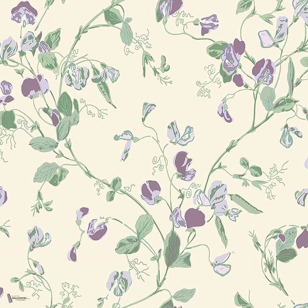 Sweet Pea behang in Mulberry & Sage van Cole & Son