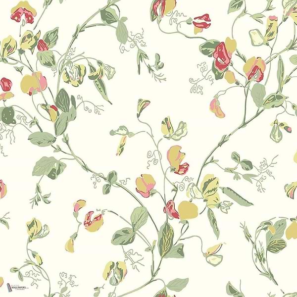 Sweet Pea behang in Yellow & Coral van Cole & Son