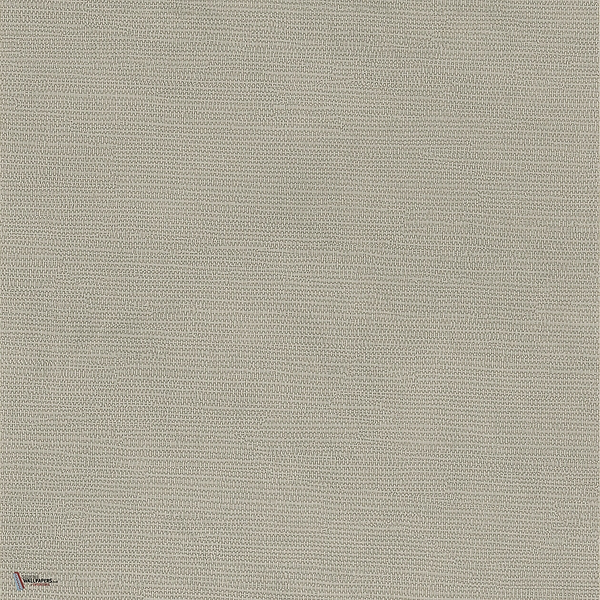 Lime wallpaper in Gris 2 by Texdecor