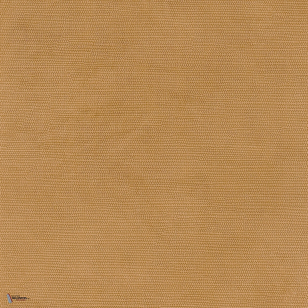 Lime wallpaper in Jaune 2 by Texdecor