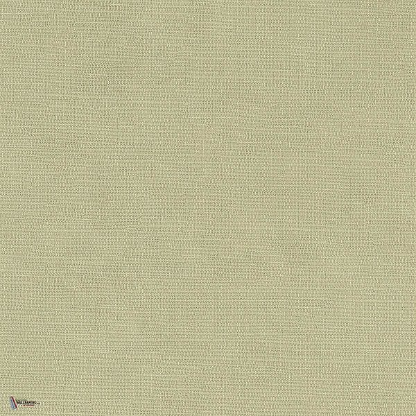 Lime wallpaper in Vert 1 by Texdecor