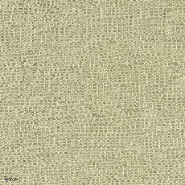 Lime wallpaper in Vert 1 by Texdecor