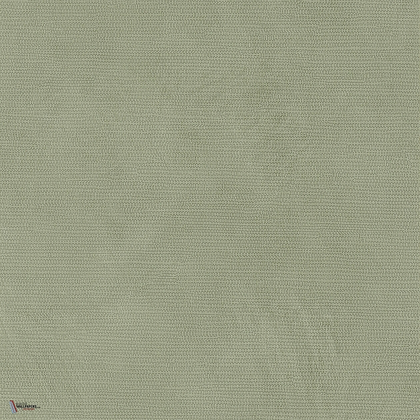 Lime wallpaper in Vert 2 by Texdecor