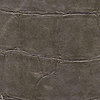 ABCG Big Croco HPC-wallpaper-Elitis-12-Meter (M1)-CV 105 12-Selected Wallpapers