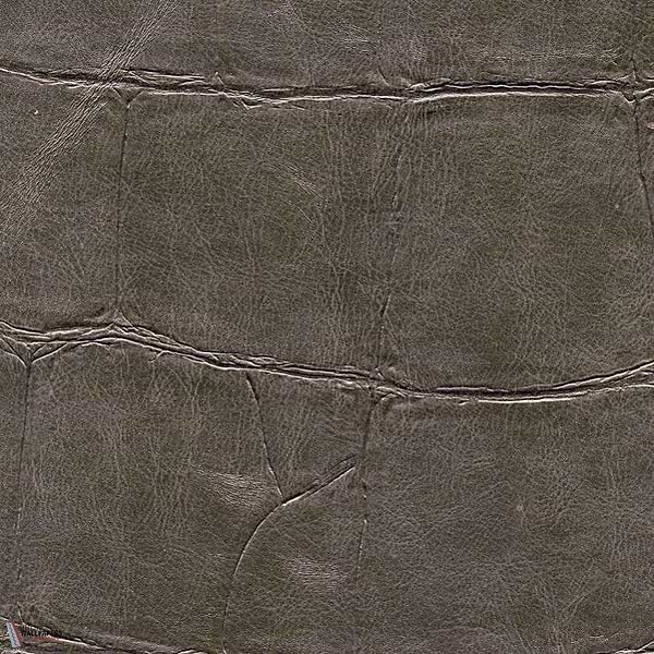 ABCG Big Croco HPC-wallpaper-Elitis-12-Meter (M1)-CV 105 12-Selected Wallpapers