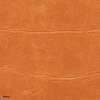 ABCG Big Croco HPC-wallpaper-Elitis-15-Meter (M1)-CV 105 15-Selected Wallpapers