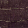 ABCG Big Croco HPC-wallpaper-Elitis-24-Meter (M1)-CV 105 24-Selected Wallpapers
