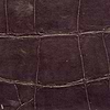 ABCG Big Croco HPC-wallpaper-Elitis-24-Meter (M1)-CV 105 24-Selected Wallpapers