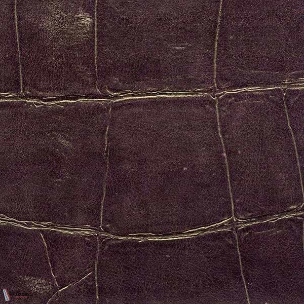ABCG Big Croco HPC-wallpaper-Elitis-24-Meter (M1)-CV 105 24-Selected Wallpapers