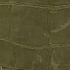 ABCG Big Croco HPC-wallpaper-Elitis-30-Meter (M1)-CV 105 30-Selected Wallpapers