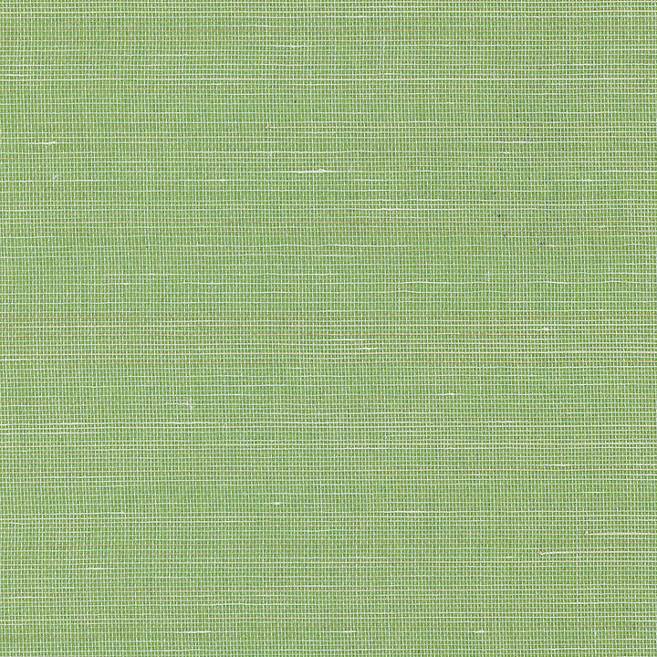 Abaca Natural Palette-behang-Greenland-2081-Meter (M1)-N158NA2081-Selected Wallpapers