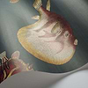 Acquario-wallpaper-Cole & Son-Selected Wallpapers