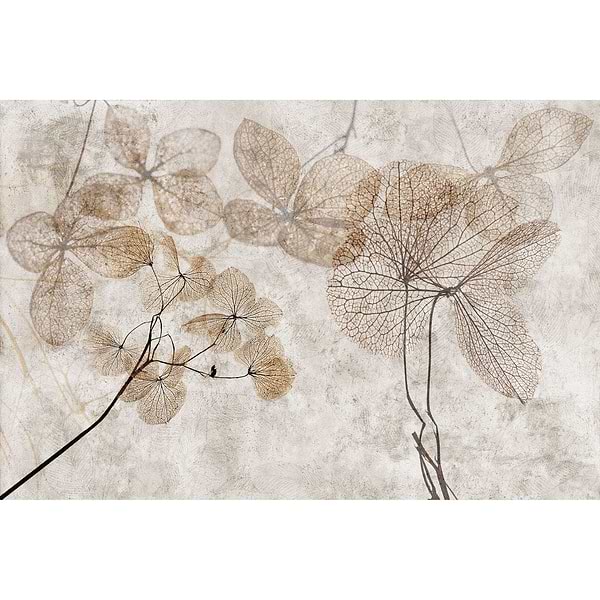 Aged-Behang-Tapete-INSTABILELAB-Selected Wallpapers