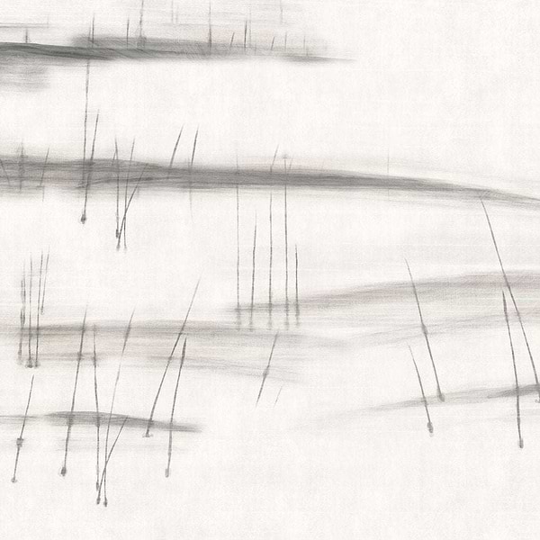 Agua de Sueno-behang-Tapete-Glamora-1B-GlamDecor-GLAG121B-Selected Wallpapers