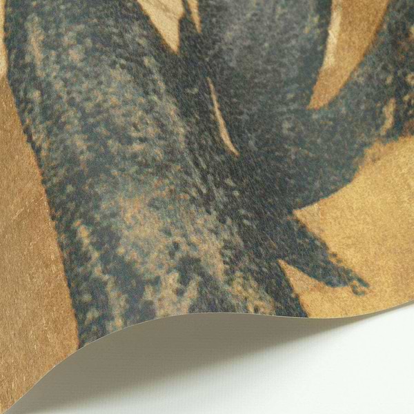 Akita-Behang-Tapete-Nobilis-Selected Wallpapers