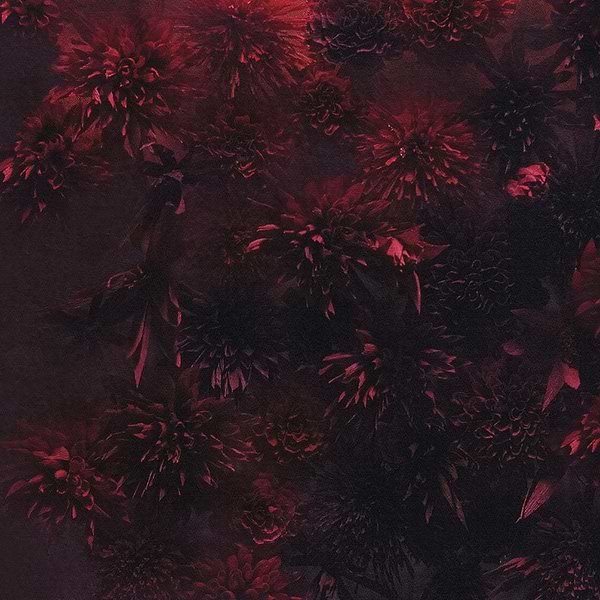 Alcamo-Behang-Wall & Deco-01-CWC-WDAC2201-Selected Wallpapers