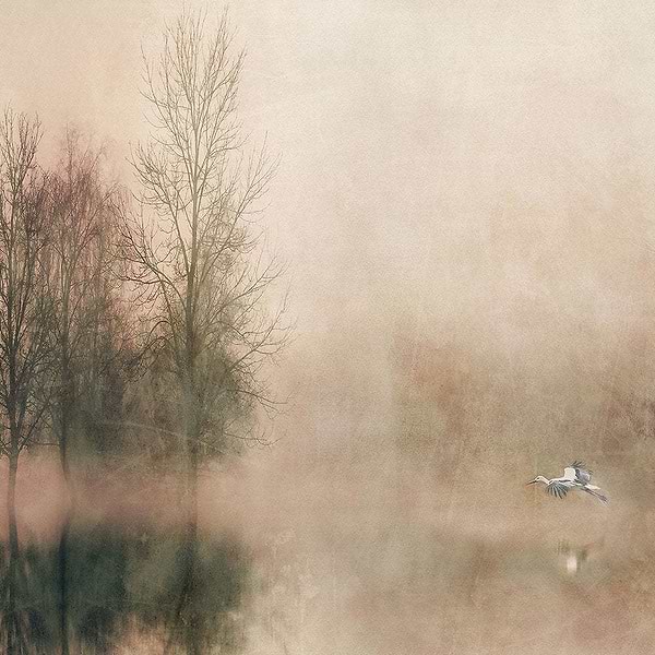 Altea-Behang-Tapete-Inkiostro Bianco-1-Vinyl 68 cm-INKARRR2201-Selected Wallpapers