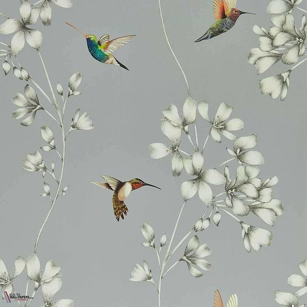 Amazilia-behang-Tapete-Harlequin-French Grey/Stone-Rol-112605-Selected Wallpapers