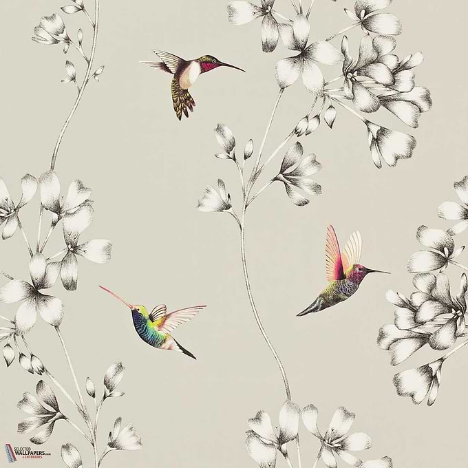 Amazilia-behang-Tapete-Harlequin-Silver-Rol-111062-Selected Wallpapers