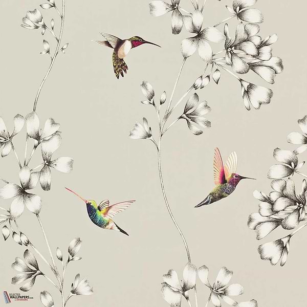 Amazilia-behang-Tapete-Harlequin-Silver-Rol-111062-Selected Wallpapers