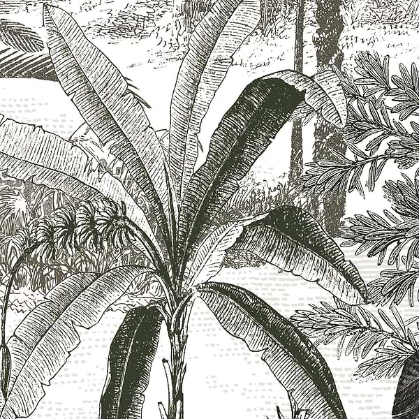 Amazone-behang-Tapete-Isidore Leroy-Gris-Set-06241601-Selected Wallpapers