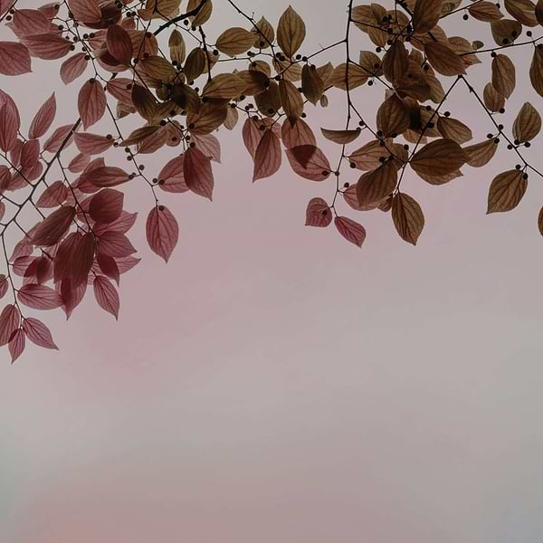 Amour-behang-Tapete-Glamora-1A-GlamDecor-GLIX21A-Selected Wallpapers