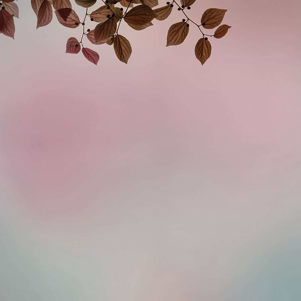 Amour-behang-Tapete-Glamora-1B-GlamDecor-GLIX21B-Selected Wallpapers