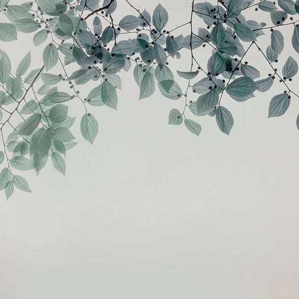 Amour-behang-Tapete-Glamora-2A-GlamDecor-GLIX22A-Selected Wallpapers