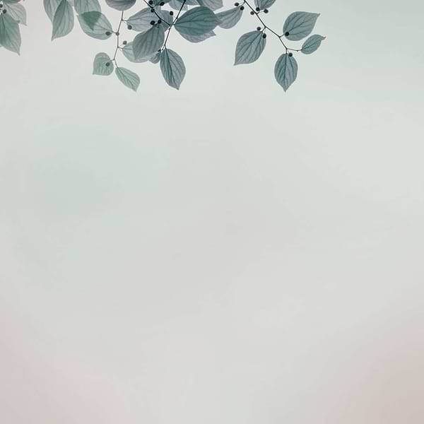 Amour-behang-Glamora-2B-GlamDecor-GLIX22B-Selected Wallpapers