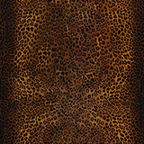 Animalier-Behang-Tapete-LondonArt-02-RAW-S120-DSQ2W05-02-Selected Wallpapers