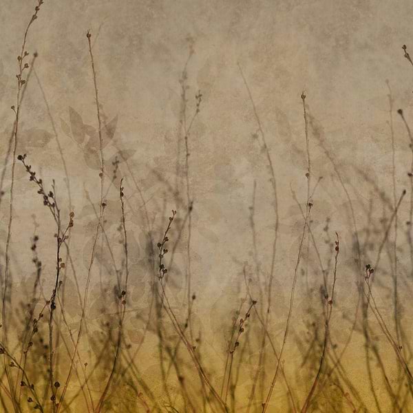 Anthuse-behang-Tapete-Glamora-1B-GlamFusion-GLHY41B-Selected Wallpapers