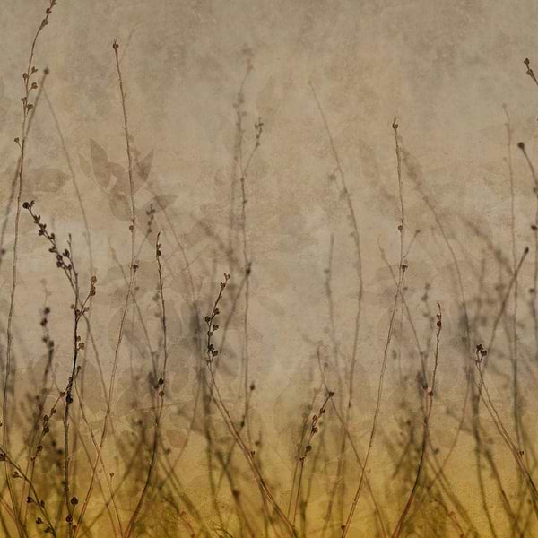 Anthuse-behang-Tapete-Glamora-1B-GlamFusion-GLHY41B-Selected Wallpapers