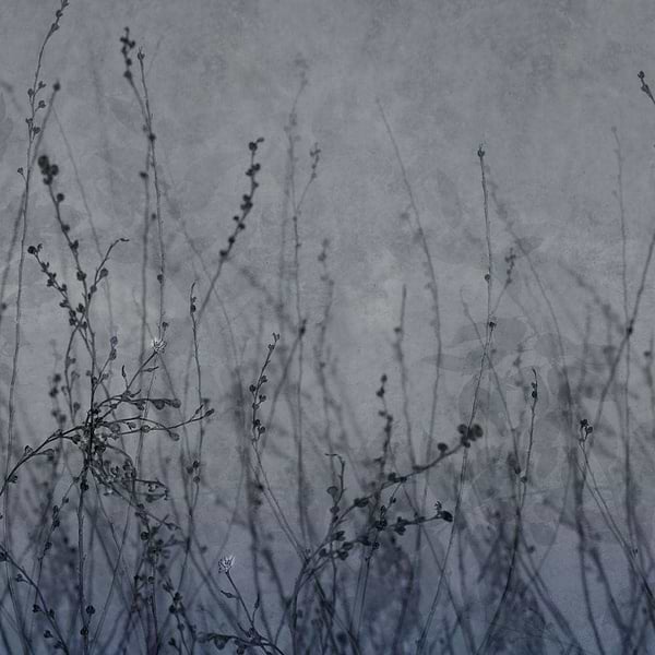 Anthuse-behang-Tapete-Glamora-2A-GlamFusion-GLHY42A-Selected Wallpapers