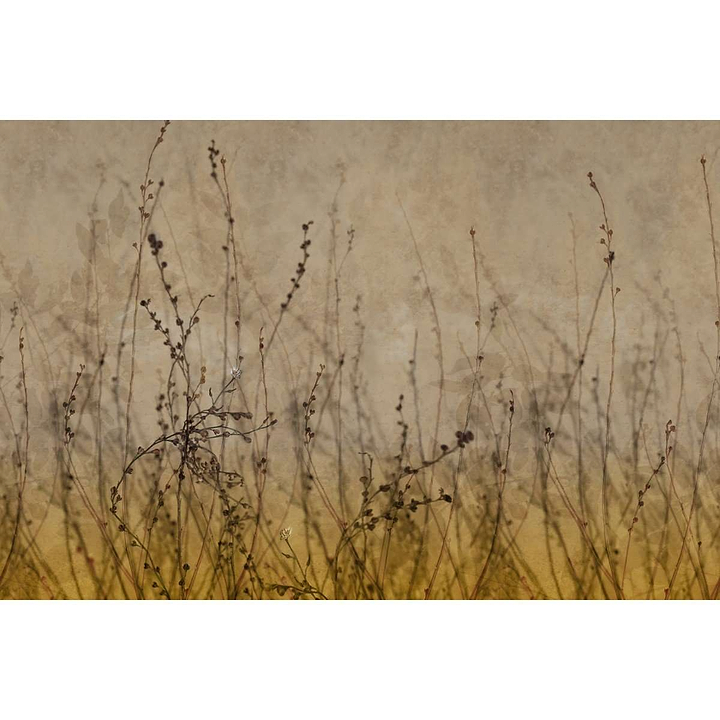 Anthuse-behang-Tapete-Glamora-Selected Wallpapers