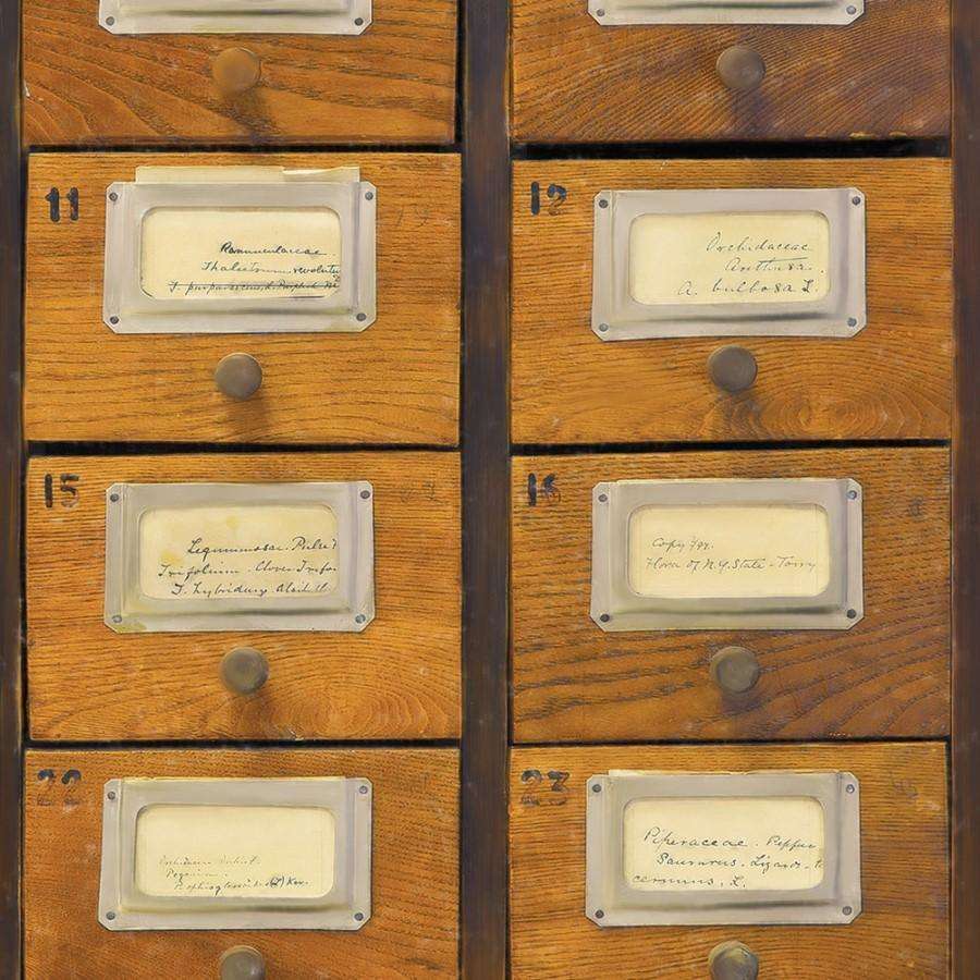 Apothecary-behang-Tapete-Mind the Gap-Brown-300 cm (standaard)-WP20249-Selected Wallpapers