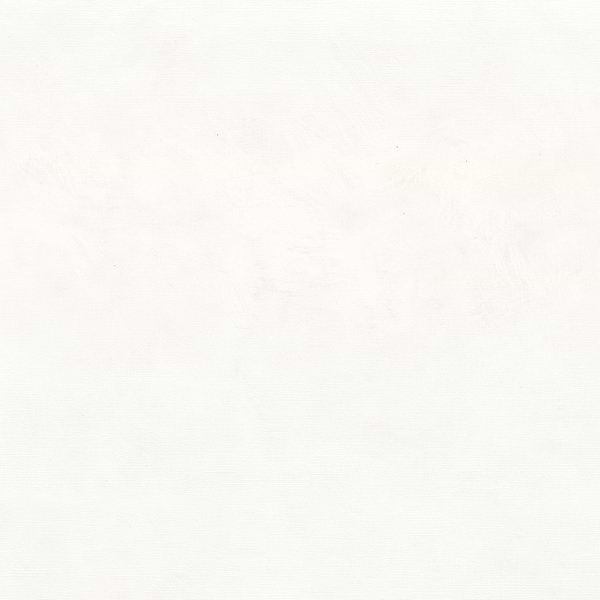 Argile-Behang-Tapete-Casamance-Blanc Optique-Rol-75494588-Selected Wallpapers