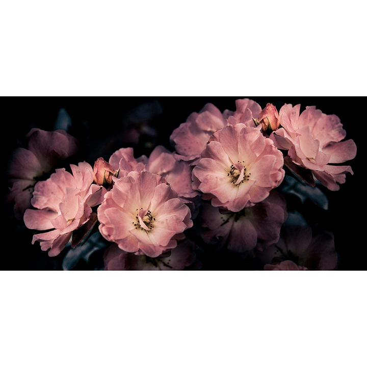 Aroma-behang-Tapete-Inkiostro Bianco-Selected Wallpapers