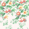 Asterid-behang-Tapete-Little Greene-Lantern-Rol-0291ASLANTE-Selected Wallpapers