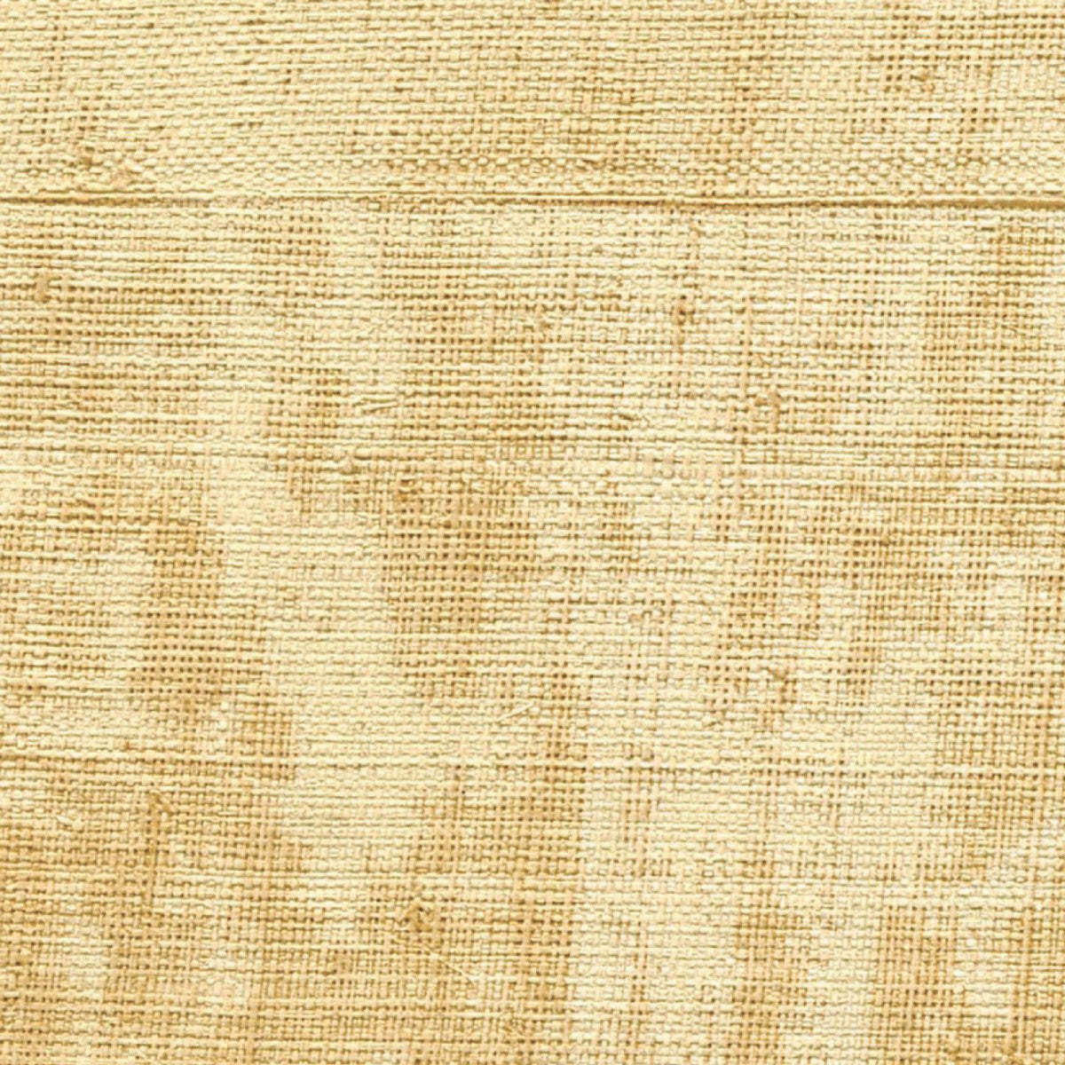 Atelier D'Artiste-Behang-Tapete-Elitis-Le Genie-Rol-VP 880 04-Selected Wallpapers
