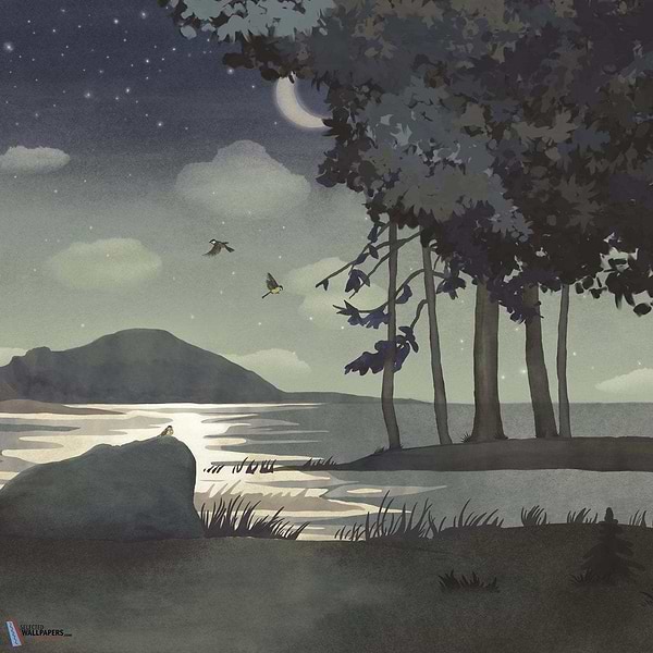 Au Clair de Lune-behang-Tapete-Les Dominotiers-Multicolore-Non Woven 70 cm-DOM805-Selected Wallpapers