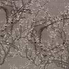 Bacio-Wallpaper-Glamora-1B-GlamDecor-GLXII91B-Selected Wallpapers