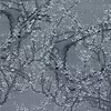 Bacio-Wallpaper-Glamora-2B-GlamDecor-GLXII92B-Selected Wallpapers