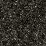 Bearded Leopard-behang-Tapete-Moooi-Blackened Blue-Meter (M1)-MO2052-Selected Wallpapers