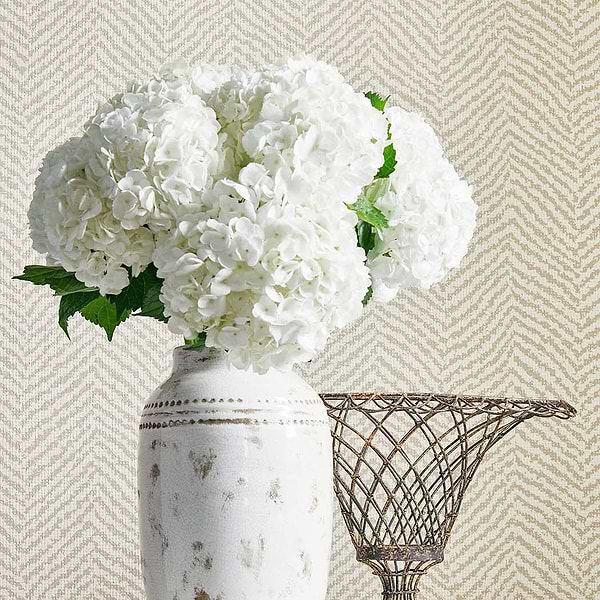 Big Sur-Behang-Tapete-Thibaut-Selected Wallpapers